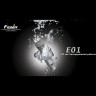 Фонарь FENIX E01 NICHIA WHITE GS E01gbk